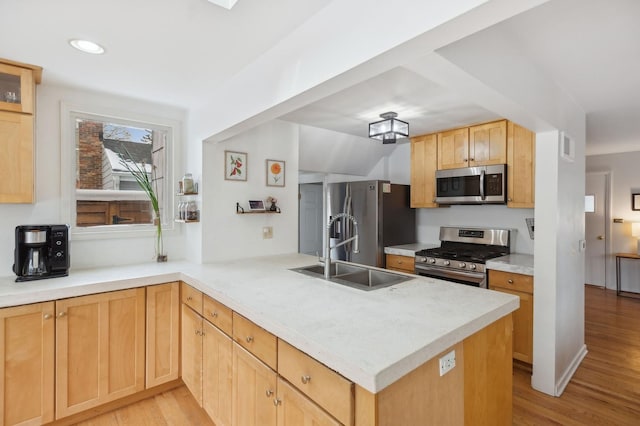 kitchen with light hardwood / wood-style floors, appliances with stainless steel finishes, sink, and kitchen peninsula