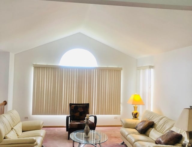 3469 W 155th St, Markham, IL 60428 - carpeted living area featuring vaulted ceiling