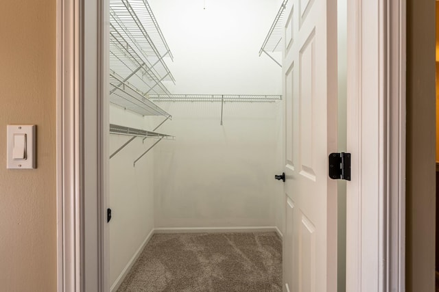 6074 Ironwood Ln, Lisle, IL 60532 - walk in closet with carpet floors
