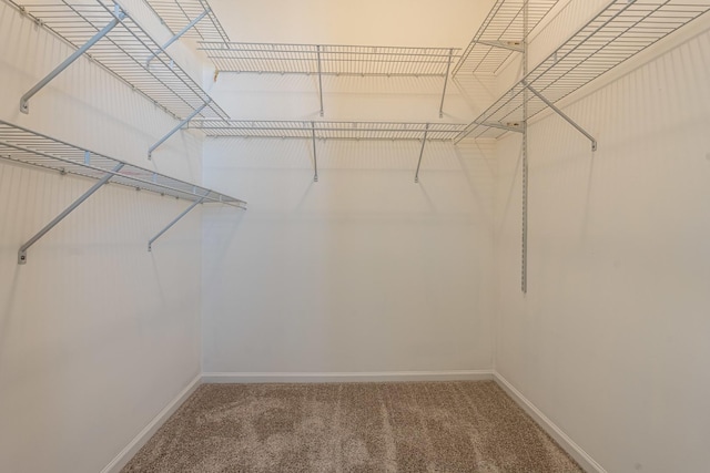 6074 Ironwood Ln, Lisle, IL 60532 - walk in closet featuring carpet
