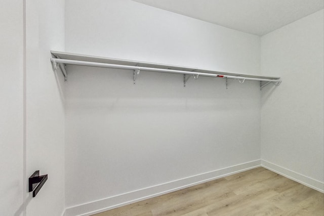 spacious closet featuring light hardwood / wood-style flooring