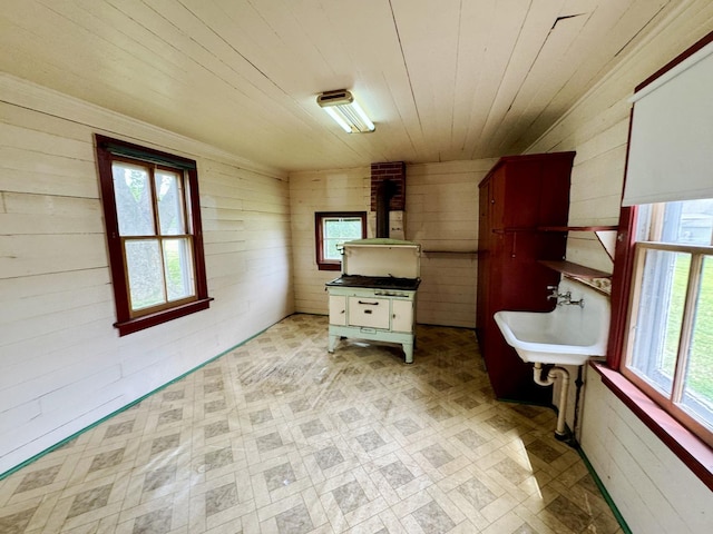 1313 Porter Ave, Lasalle, IL 61301 - interior space with wooden walls, light floors, wooden ceiling, and multiple windows