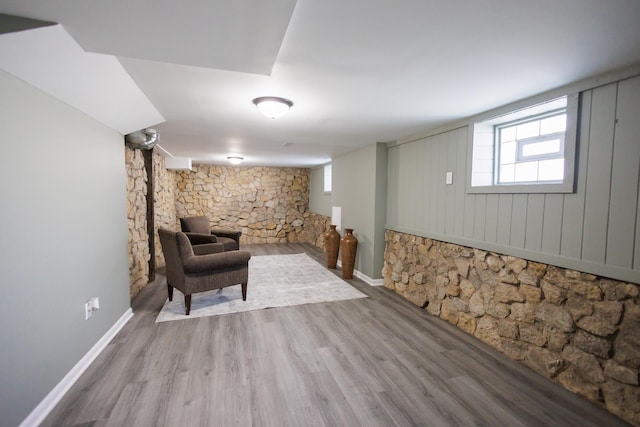 basement with hardwood / wood-style flooring