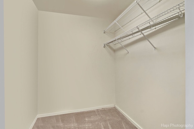 spacious closet with carpet floors