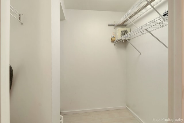 spacious closet featuring light wood-style floors