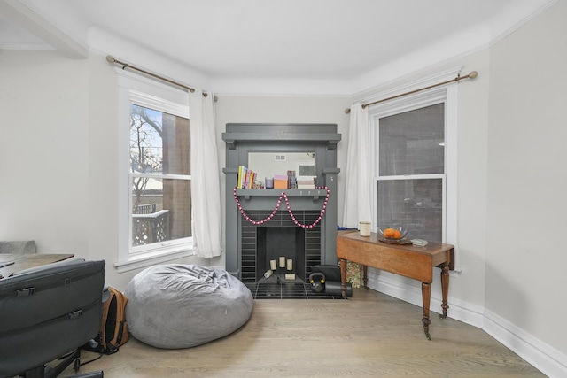 interior space with a fireplace and wood-type flooring