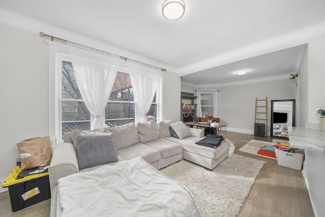 living room with crown molding and light hardwood / wood-style flooring