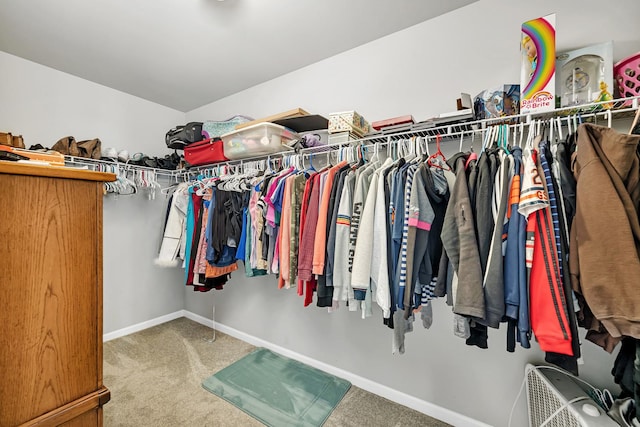 851 Western Ave, Braidwood, IL 60408 - spacious closet featuring carpet flooring