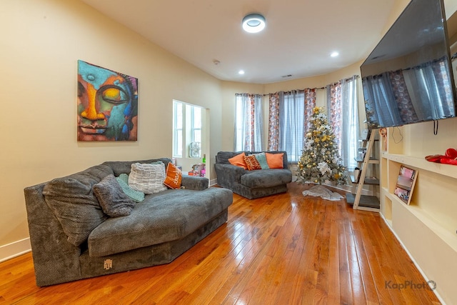 living room featuring hardwood / wood-style flooring