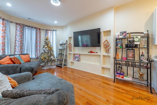 living room featuring wood-type flooring