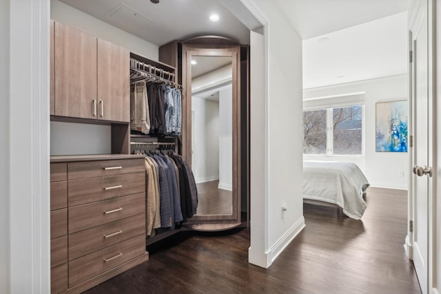 walk in closet featuring dark wood finished floors