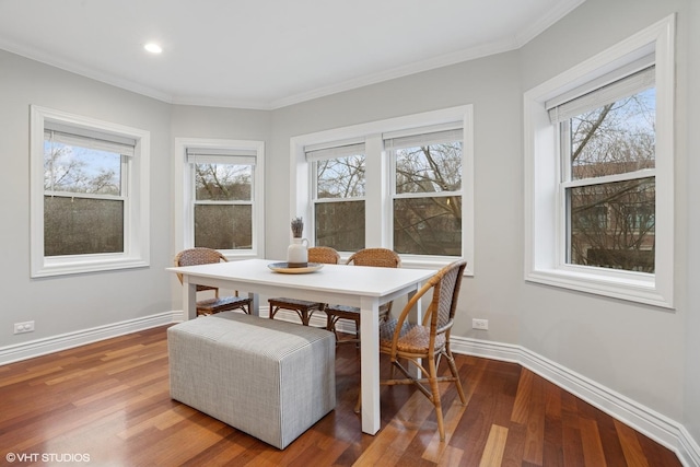 dining room featuring a healthy amount of sunlight, crown molding, baseboards, and wood finished floors