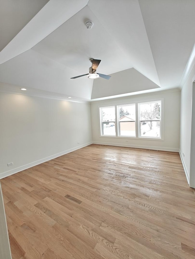 spare room with light hardwood / wood-style floors, a raised ceiling, and a healthy amount of sunlight