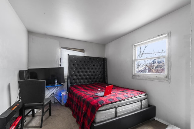 bedroom featuring carpet