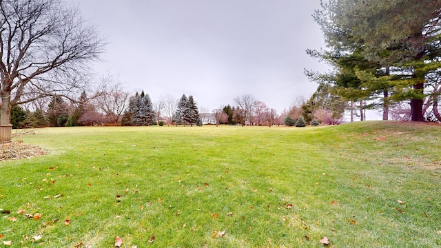 7N108 Hastings Dr, Saint Charles, IL 60175 - view of grassy yard