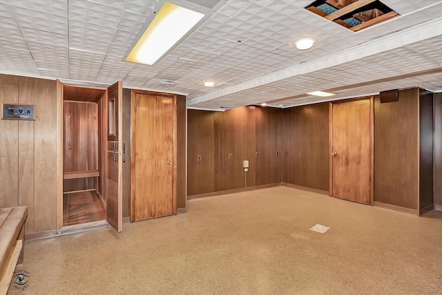 finished basement with wood walls