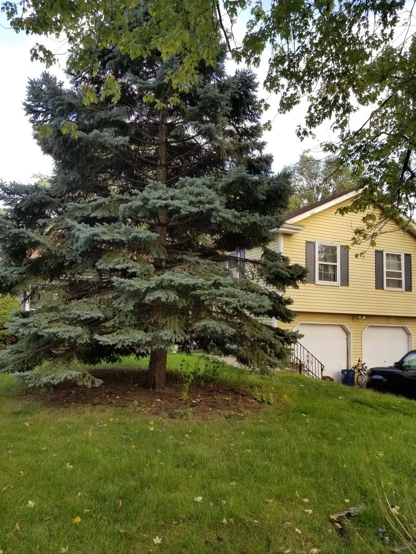 603 Justina St, Hinsdale, IL 60521 - photo 1
