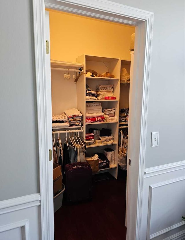 view of walk in closet