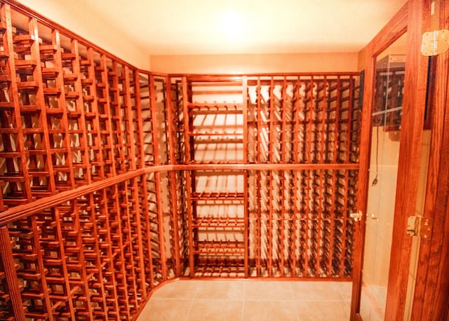 wine room featuring tile patterned floors