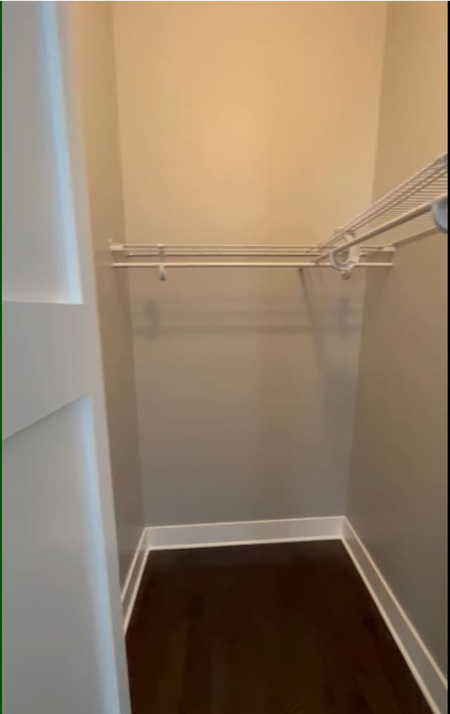 walk in closet with dark wood-style flooring