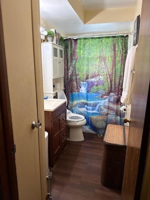 bathroom with vanity, a shower with shower curtain, toilet, and wood finished floors