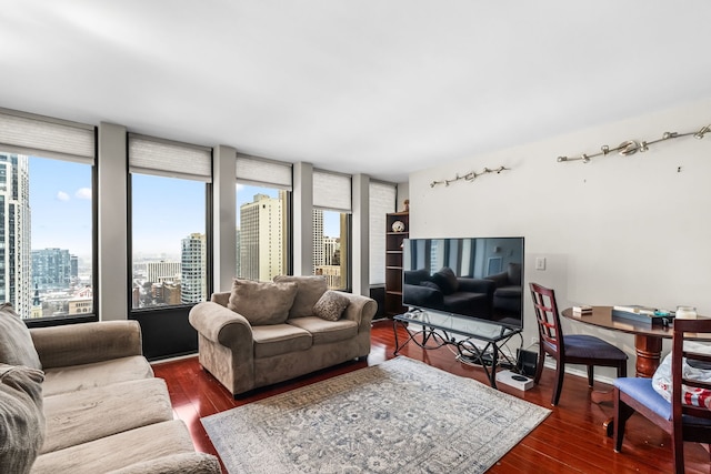 living room with dark wood-type flooring