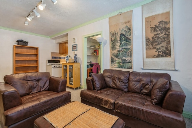 carpeted living room featuring ornamental molding, track lighting, and a textured ceiling