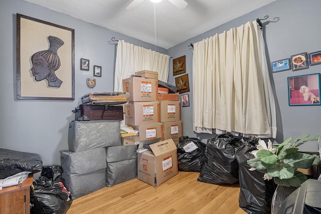 storage featuring ceiling fan