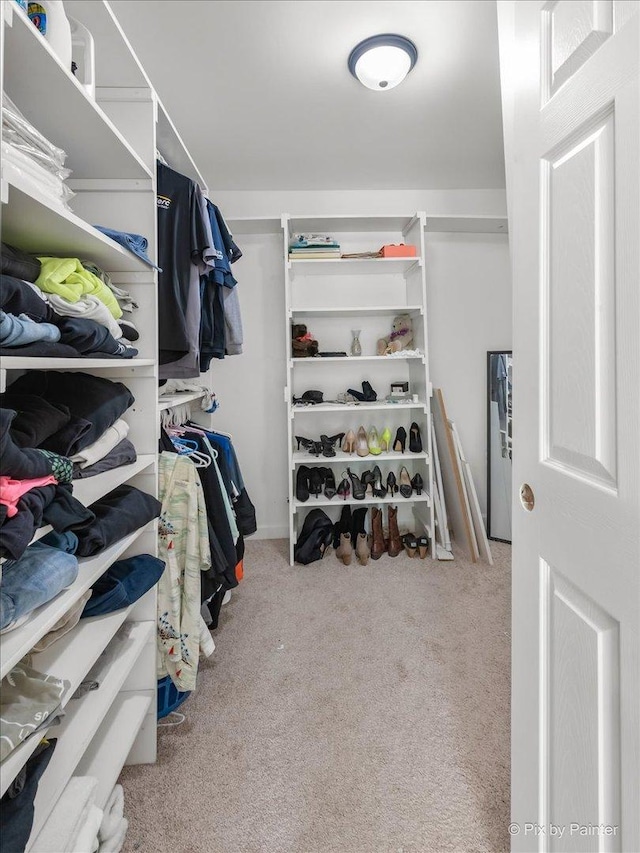 walk in closet with carpet floors