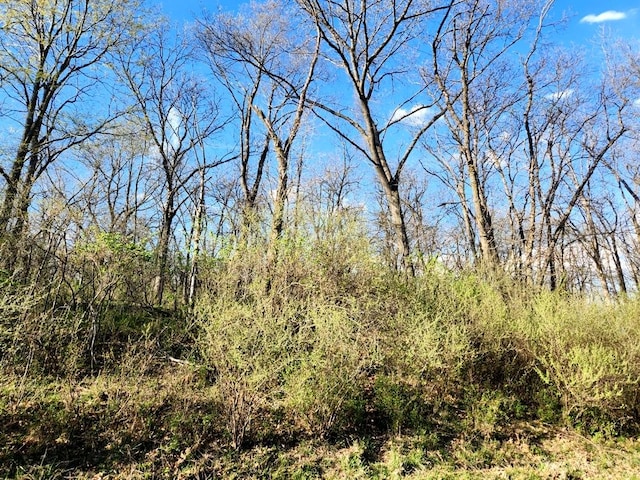 LOT516 Brandywine Cir, Varna IL, 61375 land for sale