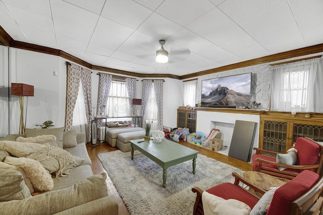 living area featuring wood finished floors, a fireplace, and ornamental molding