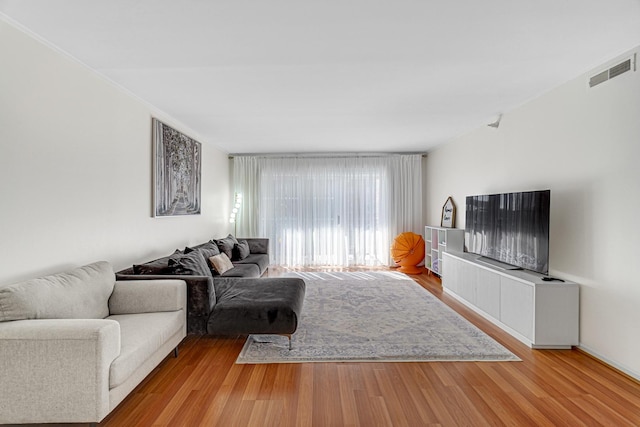 living room featuring light hardwood / wood-style floors