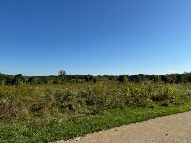 view of local wilderness with a rural view