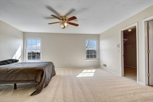 bedroom featuring a walk in closet, carpet, baseboards, and ceiling fan