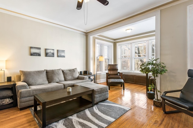 living room featuring ceiling fan, ornamental molding, and wood finished floors