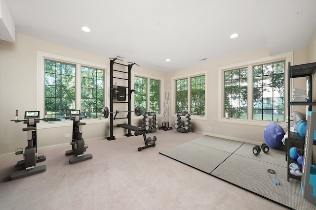 workout area featuring carpet