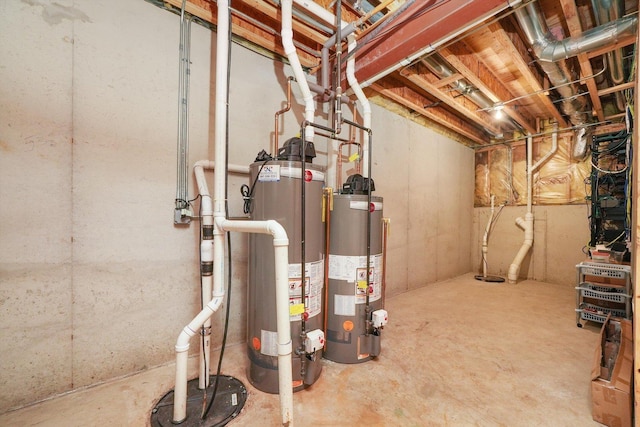 basement featuring gas water heater