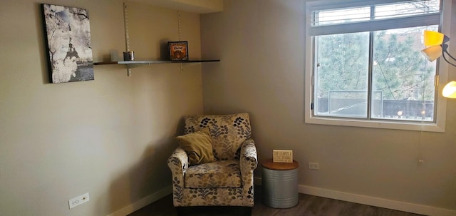 sitting room featuring dark hardwood / wood-style flooring