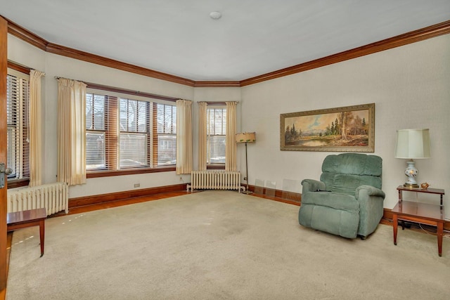 living area featuring radiator heating unit, carpet, and ornamental molding