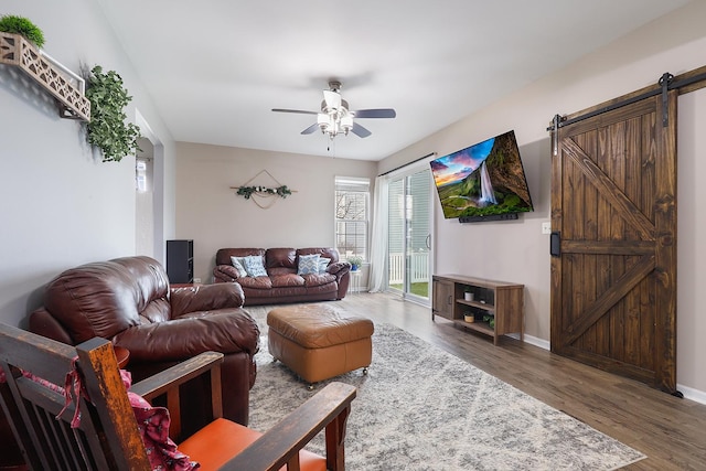 living room with dark hardwood / wood-style flooring, a barn door, and ceiling fan