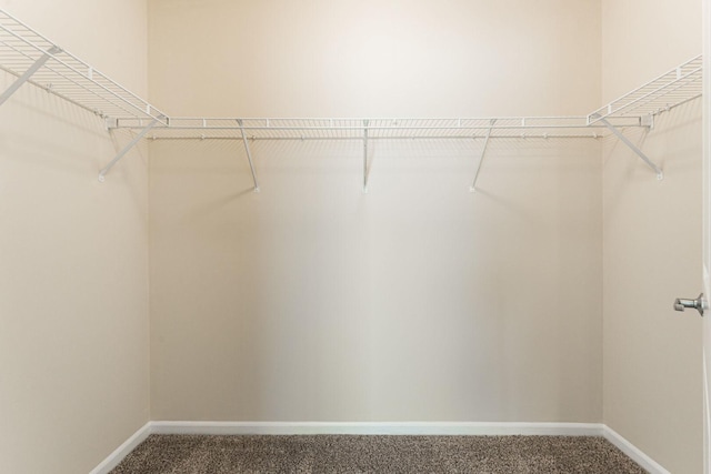 walk in closet featuring carpet