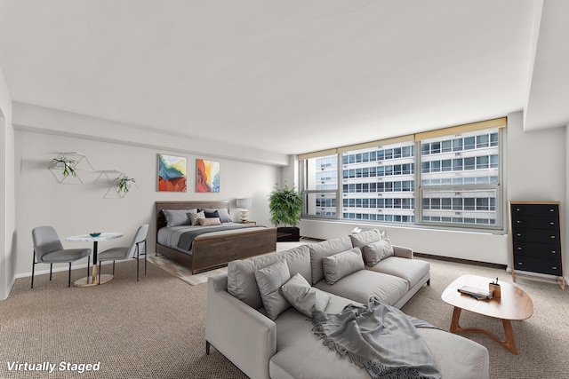 living area featuring carpet and baseboards