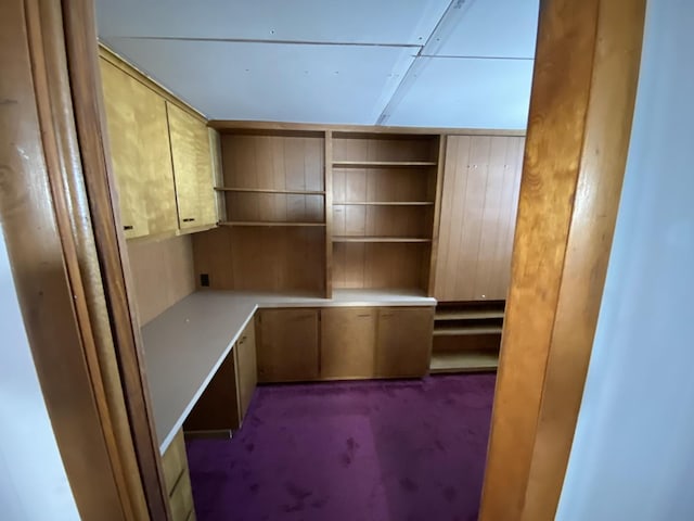 unfurnished office with carpet floors