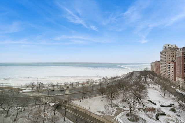 view of water feature featuring a beach view