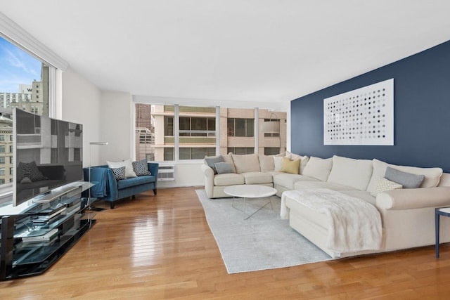 living room with wood-type flooring