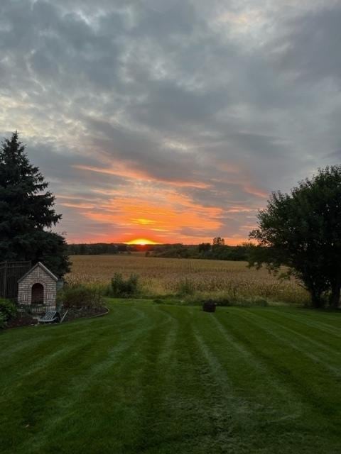 10848 Crystal Ridge Ct, Orland Park, IL 60467 - view of yard at dusk