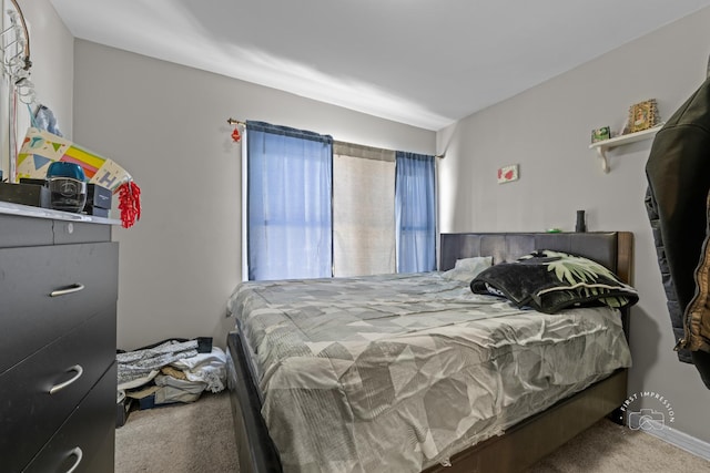 bedroom featuring carpet