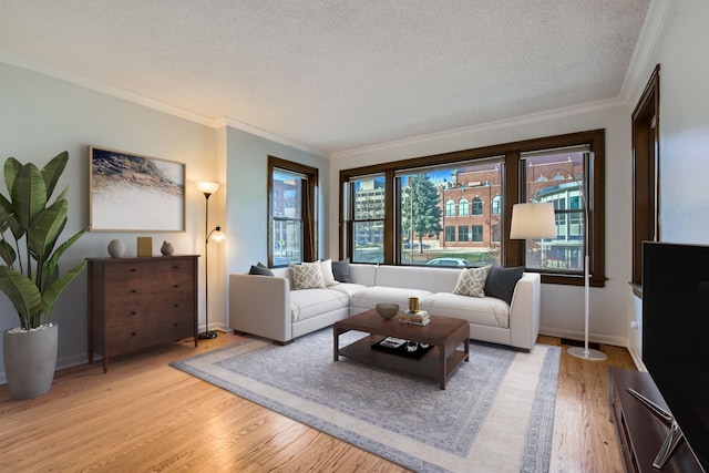 living area with crown molding, light wood-style floors, and a textured ceiling