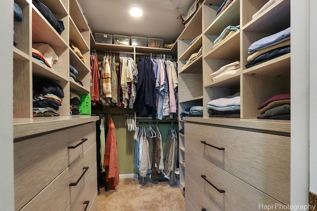 walk in closet featuring light carpet