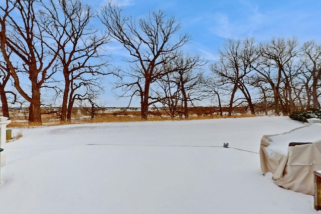 view of snowy yard